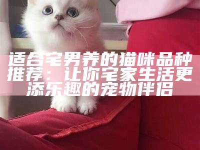 适合宅男养的猫咪品种推荐：让你宅家生活更添乐趣的宠物伴侣